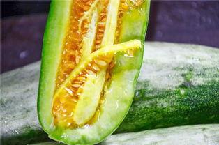 吃瓜香的网红有哪些 第1张 吃瓜香的网红有哪些 第1张